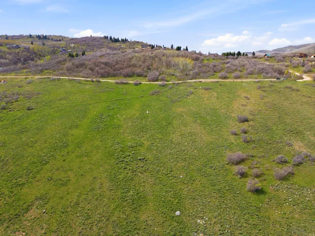 Expansive hillside property featuring a verdant landscape, a visible unpaved road, scattered low-lying shrubs, and distant structures on a neighboring hill