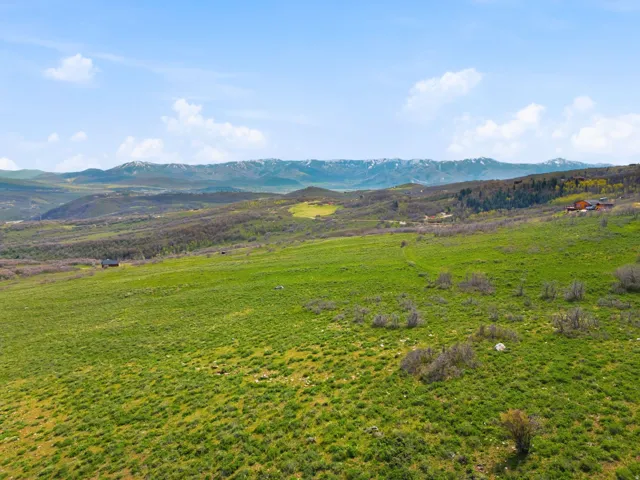 Expansive green landscape featuring rolling hills and distant snow-capped mountains