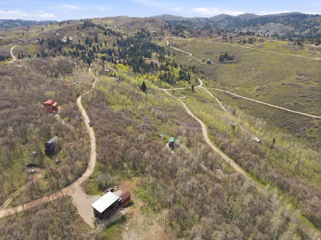 Expansive mountain landscape featuring varied topography, scattered evergreen trees, and broad-leafed deciduous trees