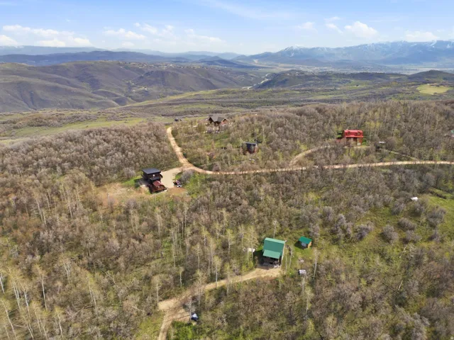Panoramic aerial showcasing multiple properties nestled within a vast, tree-covered landscape
