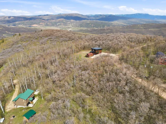 Elevated aerial perspective showcasing a property surrounded by mature deciduous trees and distant mountains under a blue sky