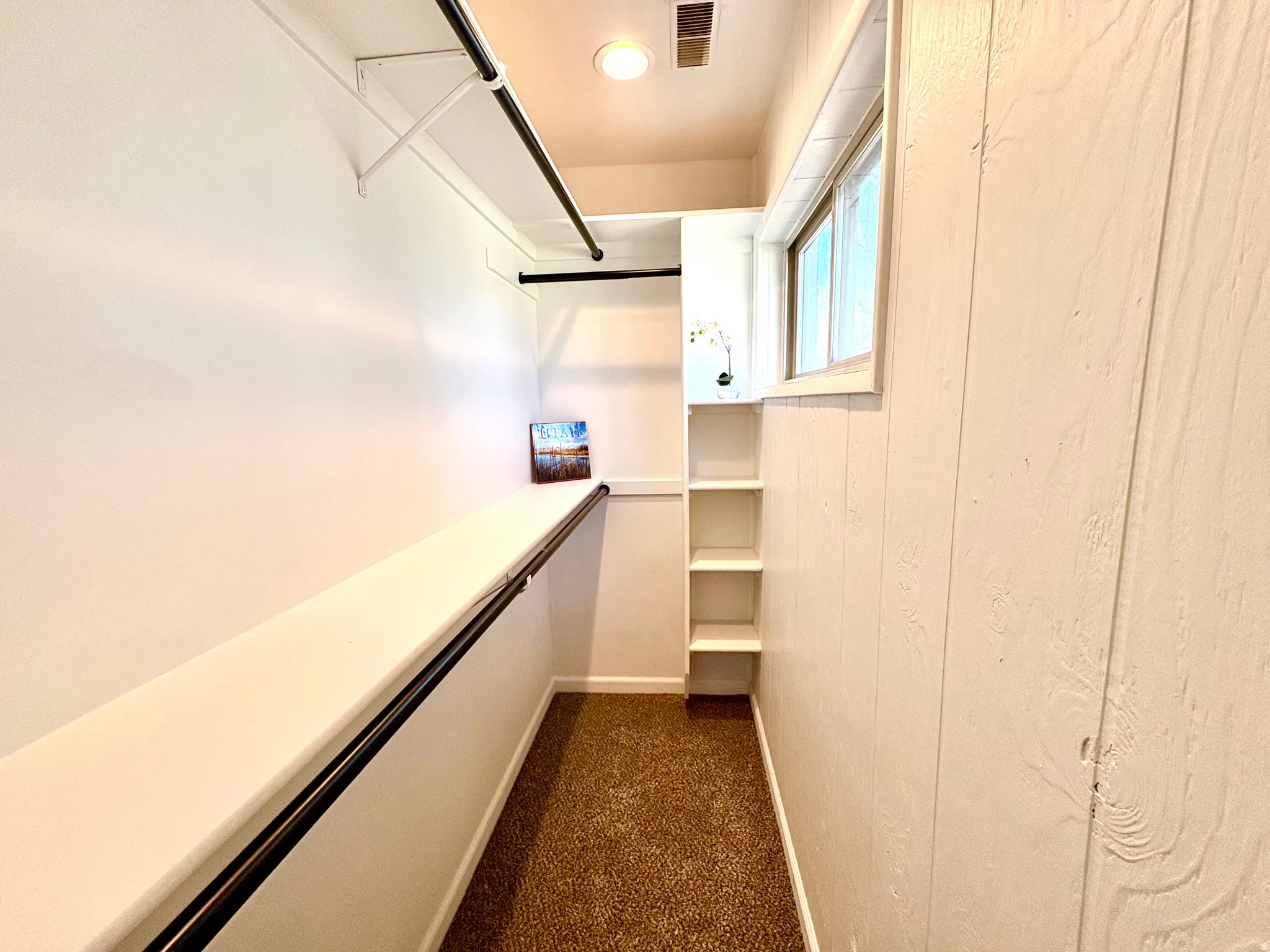 Walk-in closet with white walls, brown carpet flooring, and a window for natural light