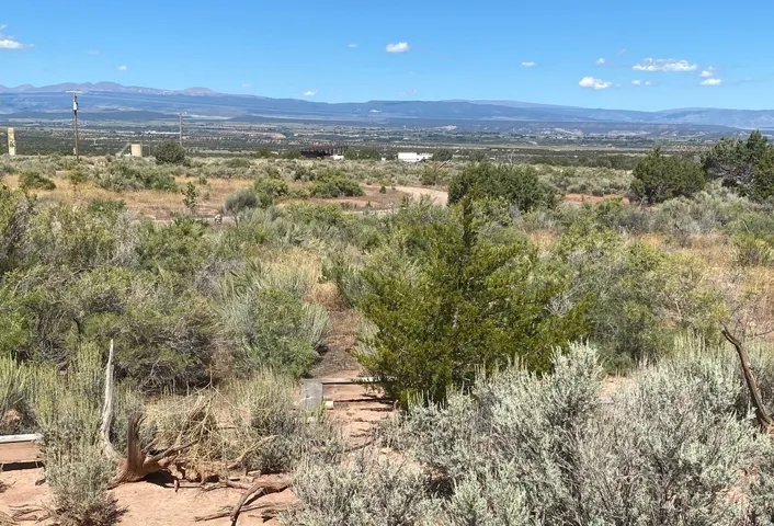 Expansive terrain featuring natural desert vegetation, distant mountains, and a clear blue sky