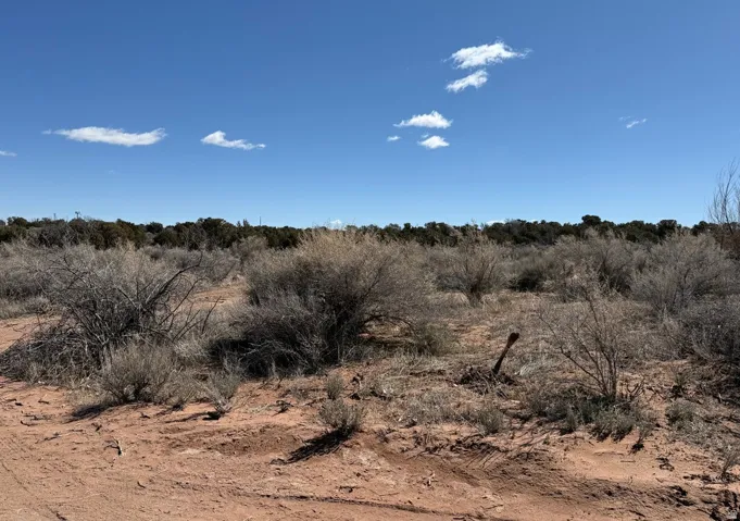 Expansive desert landscape featuring natural brush, red-toned soil, and a clear blue sky