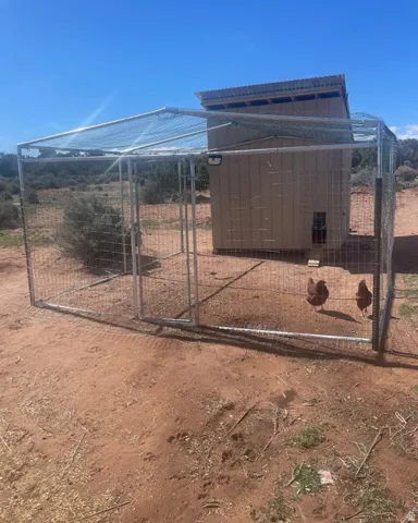 Enclosed chicken coop featuring a galvanized wire run, a tan shed structure with a corrugated metal roof, a small entry door, and an exterior mounted light fixture
