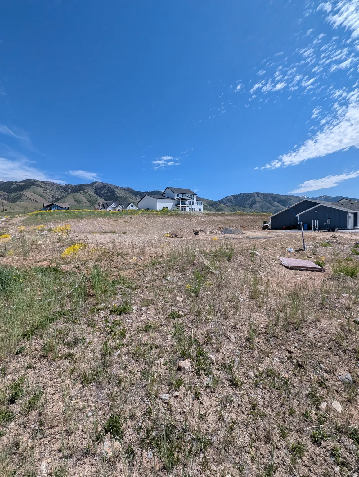 Expansive undeveloped lot presenting opportunities for new construction