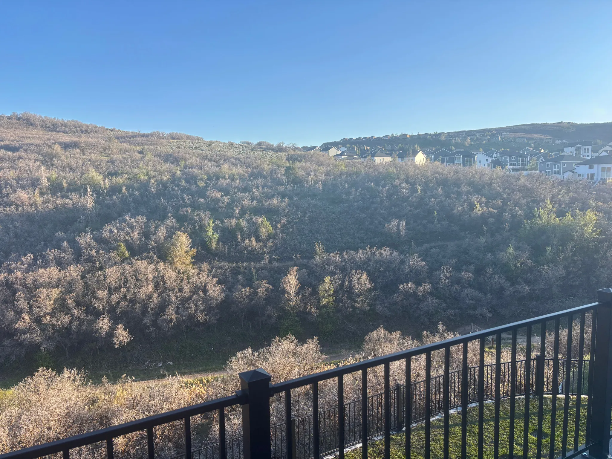 Expansive natural landscape from a balcony featuring a dark metal railing and green grass