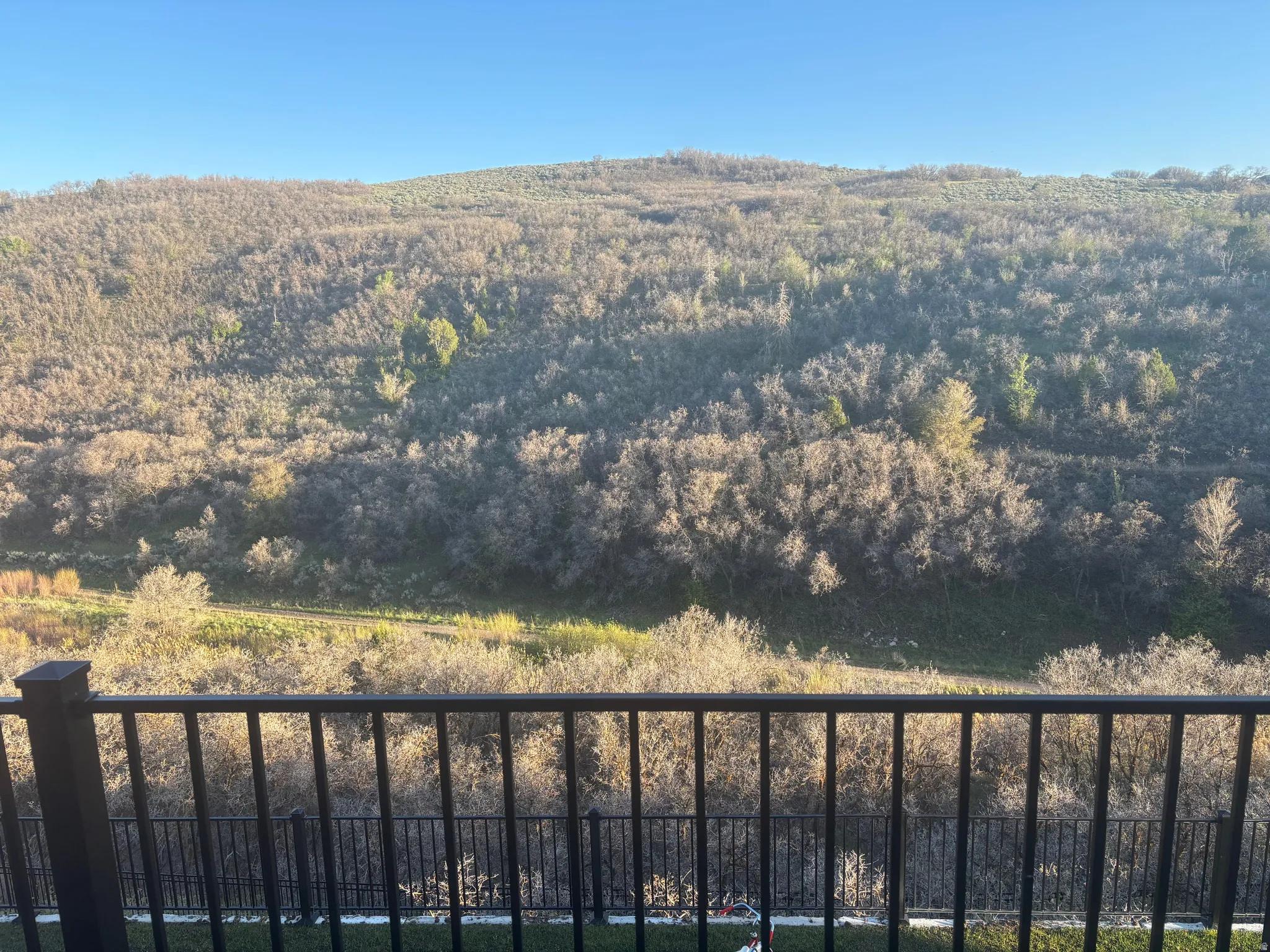 Lush natural landscape with varied foliage and a clear sky, framed by a dark metal railing