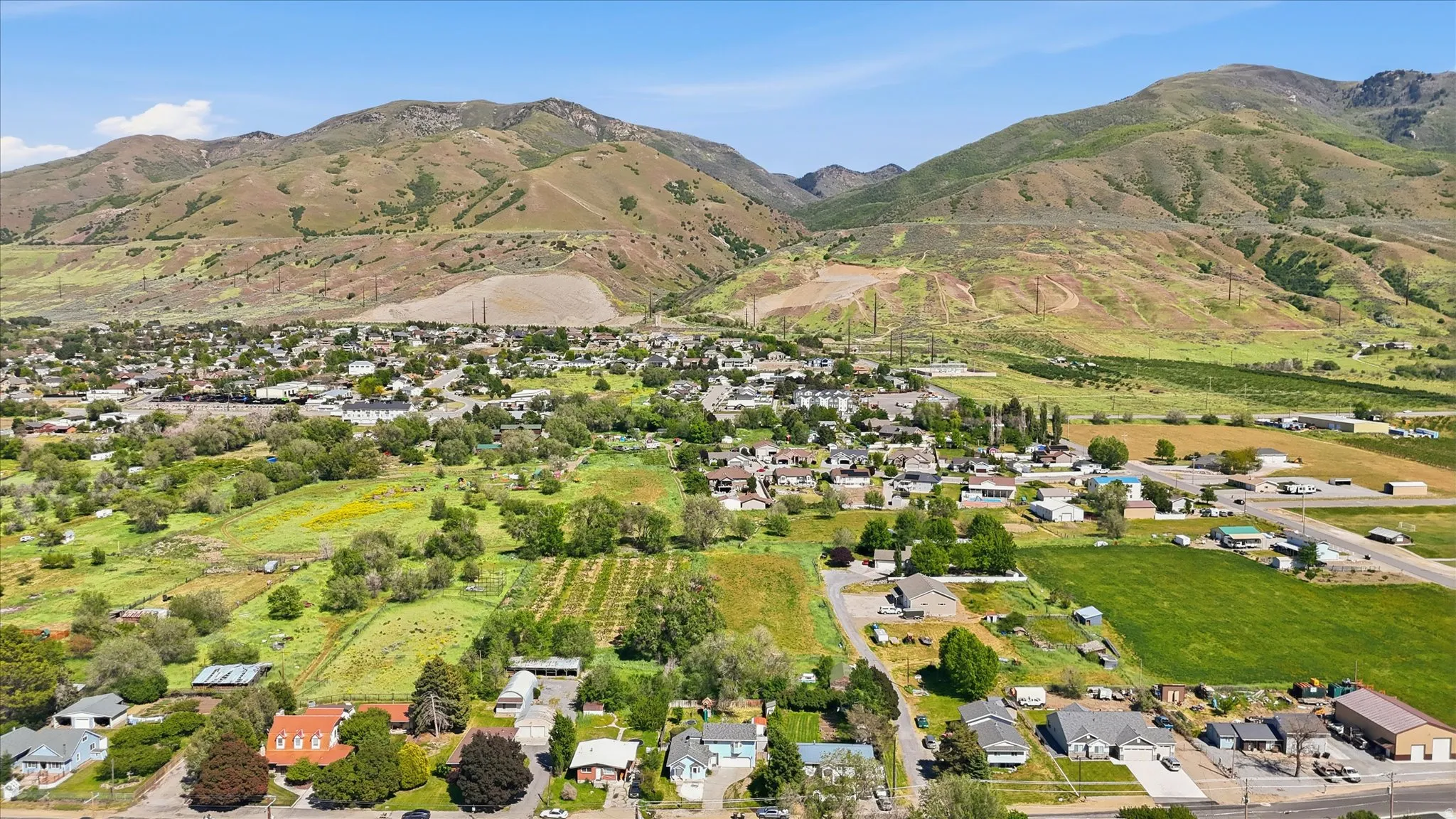 Expansive mountain backdrop framing a residential area with varied home styles and green landscapes