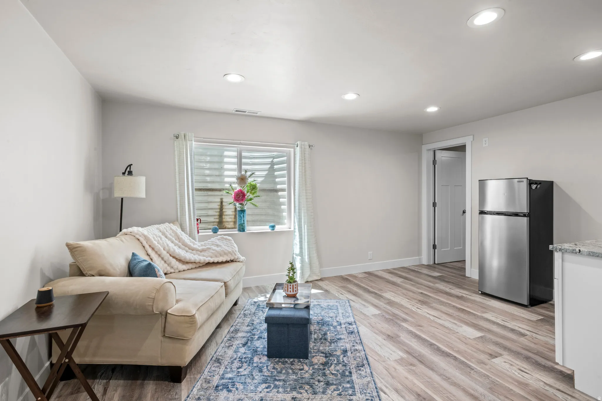 Basement living room