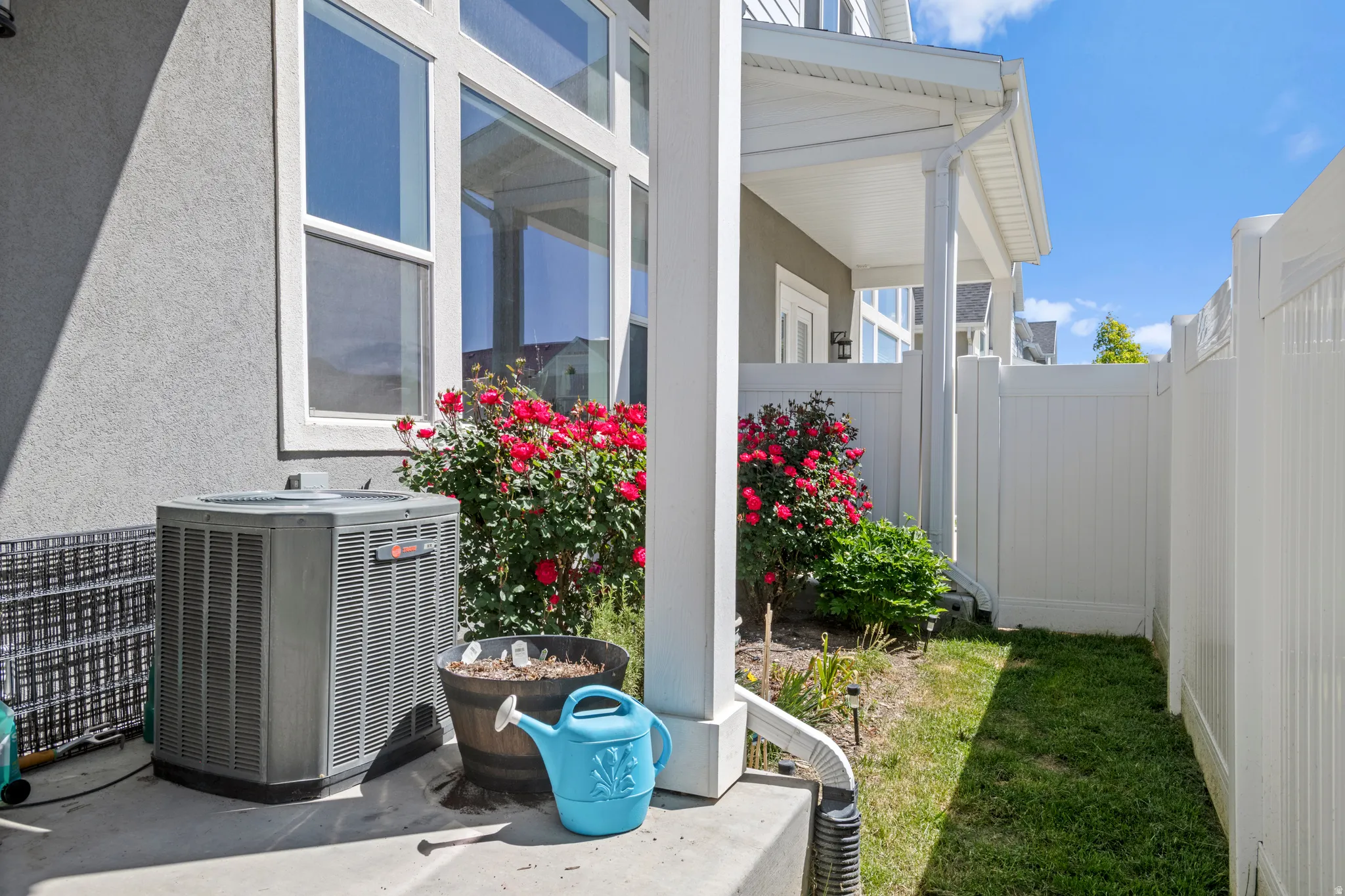 Covered patio with white vinyl fencing, grass,  and stunning rose bushes planted by owner