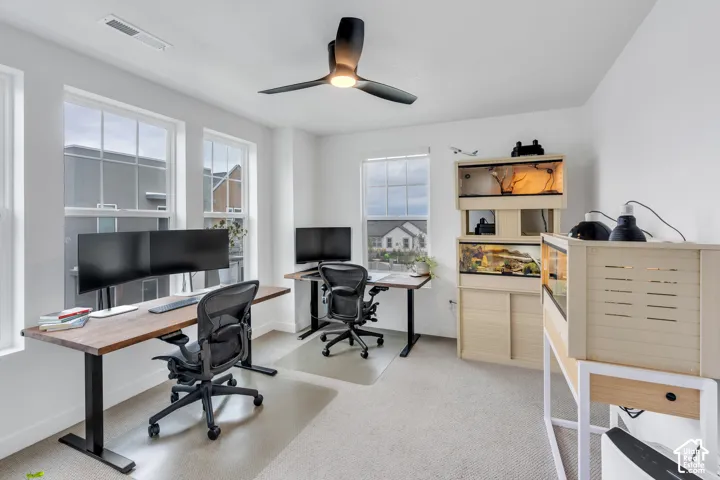 Neutral-toned room featuring neutral carpeting, a modern matte black ceiling fan with integrated lighting, and multiple oversized windows with muntin detailing