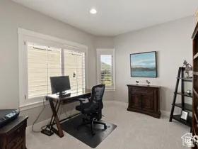 Bright room with neutral wall tones and plush carpeting