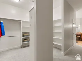 Walk-in closet featuring light grey carpeting and a built-in organization system with shelving and hanging rods