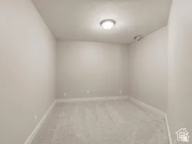 Neutral-toned room featuring light beige walls and light gray carpeting