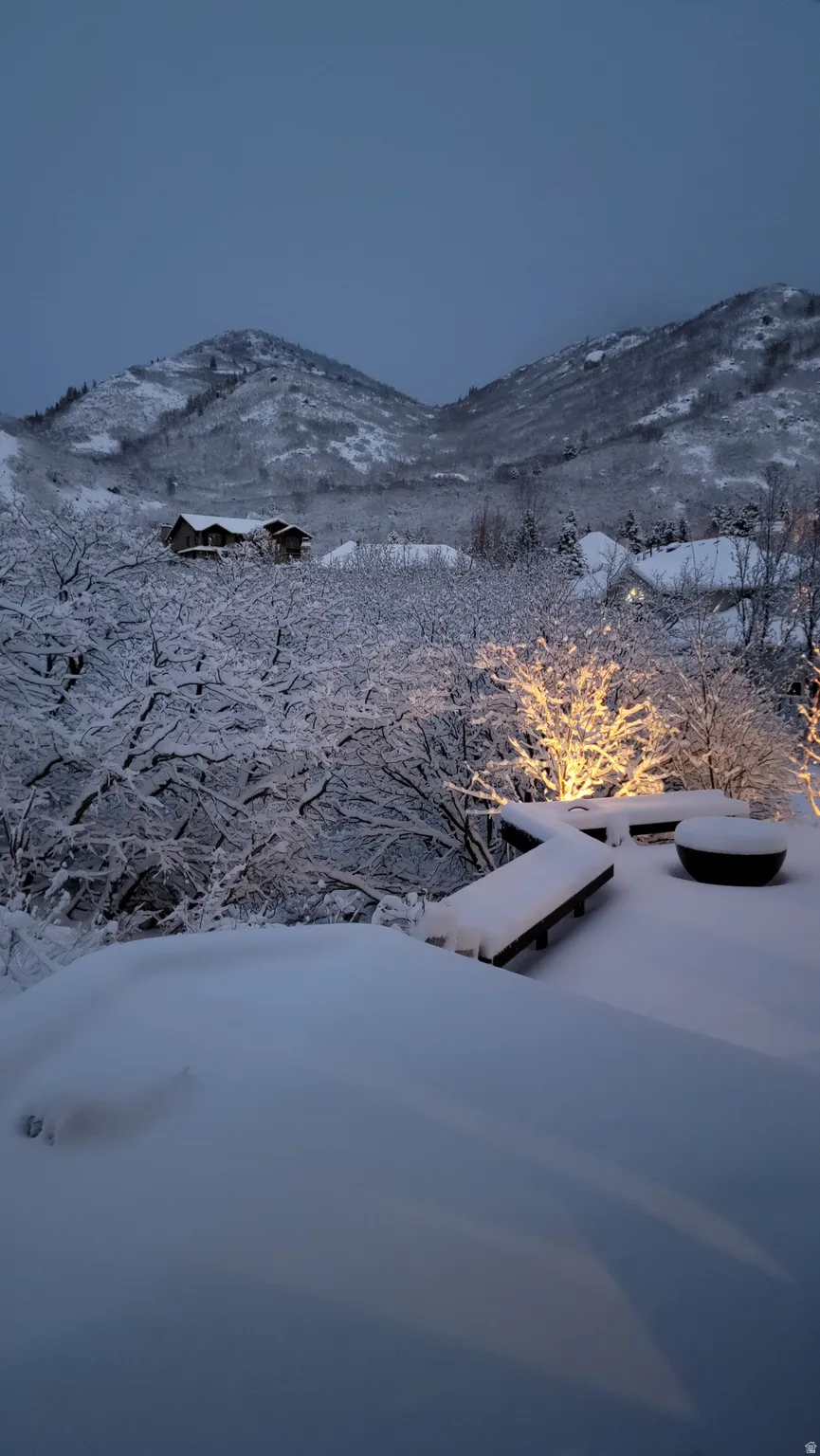 Expansive outdoor decking featuring a built-in bench and a round fire pit, set against a backdrop of snow-covered mountains and mature trees