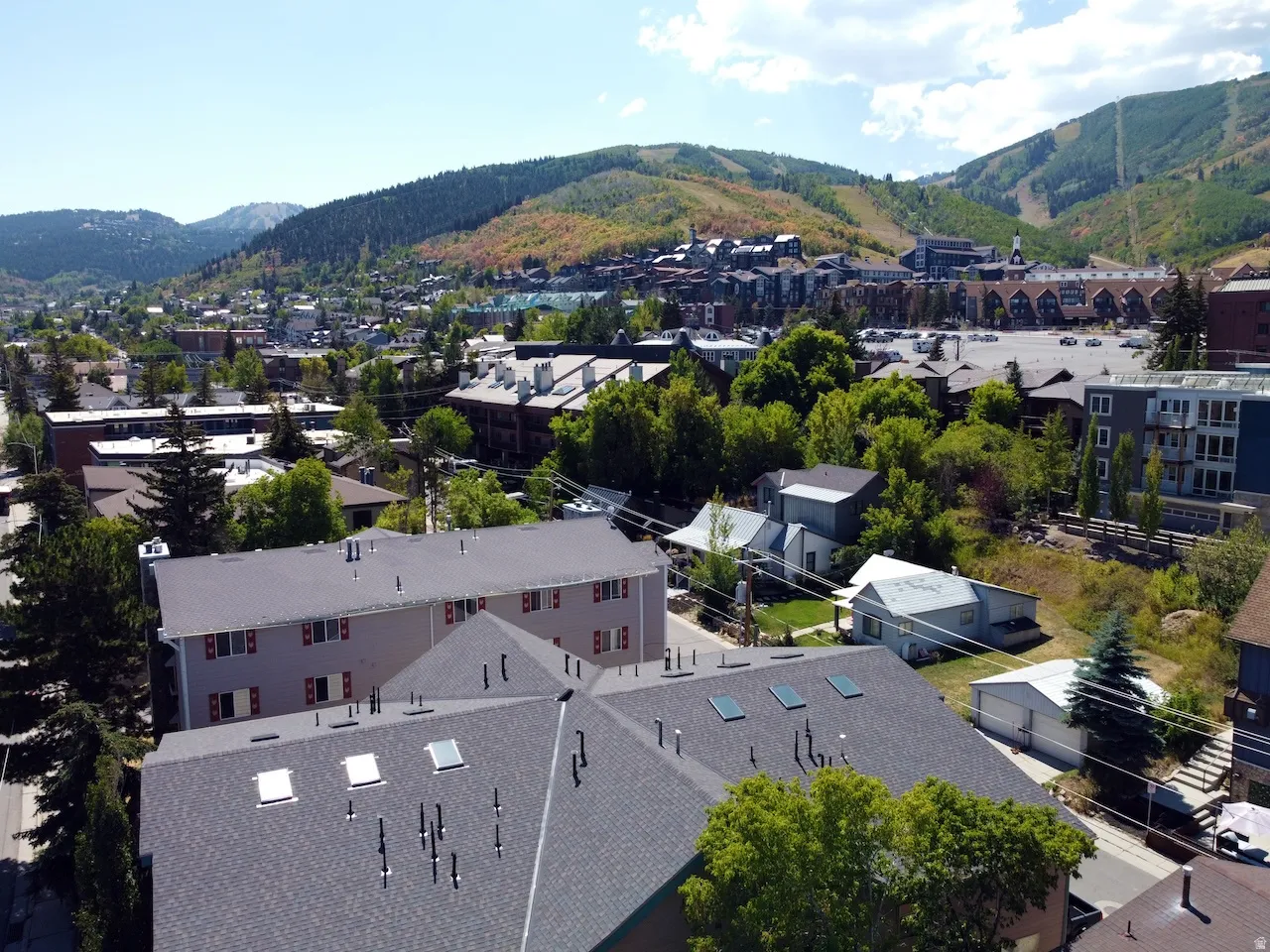Aerial perspective showcasing a pitched roof with multiple skylights and roof vents, surrounded by mature trees