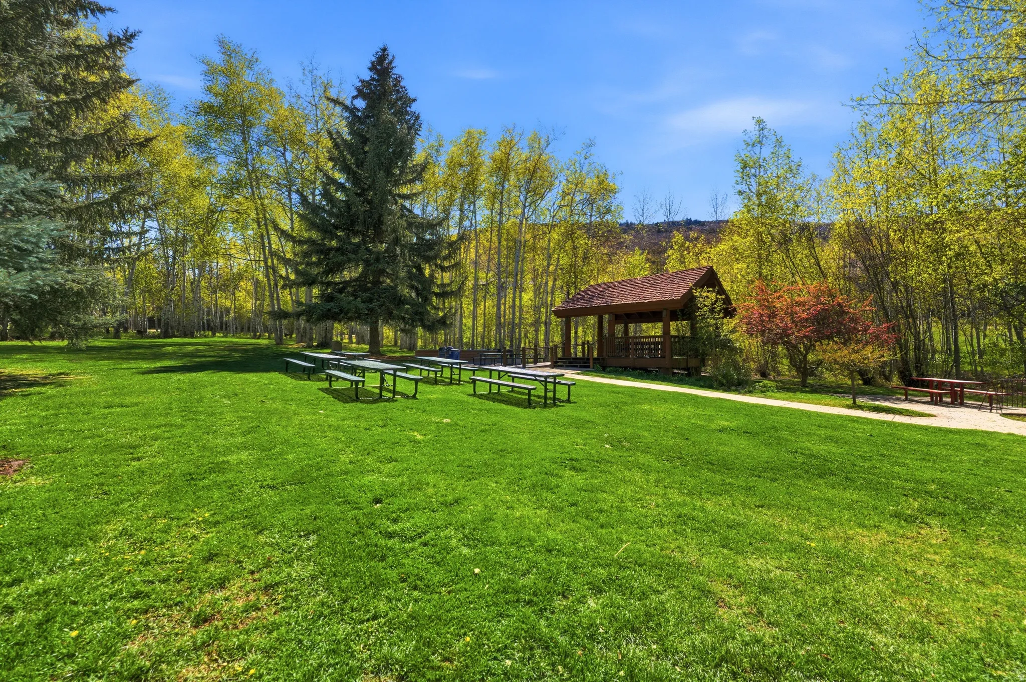 Expansive green lawn featuring mature trees, a covered gazebo structure, and multiple picnic tables