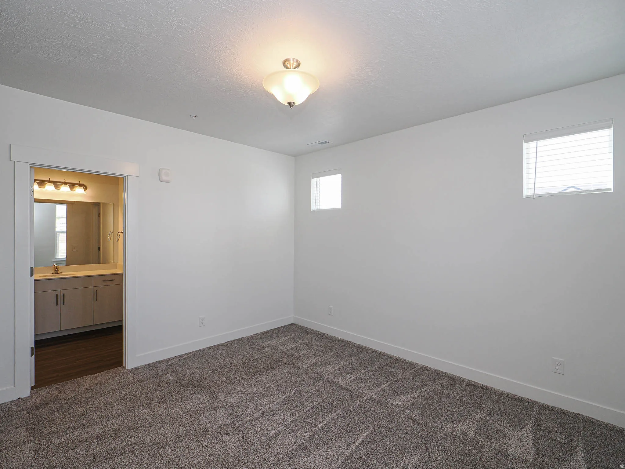 Carpeted interior space with white walls, two high windows with blinds, and a semi-flush ceiling light fixture