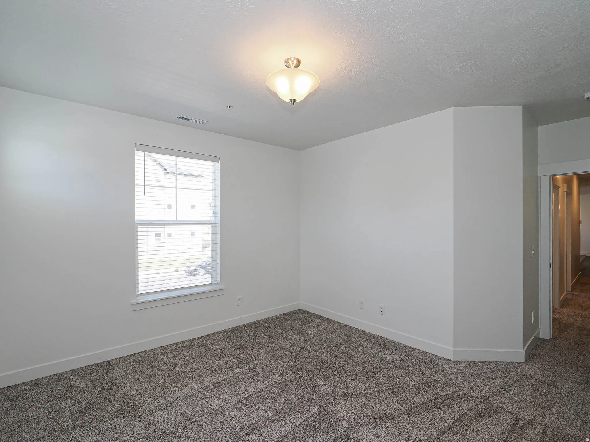 Neutral wall colors, textured carpet flooring, ceiling-mounted light fixture, window with horizontal blinds, and white baseboards