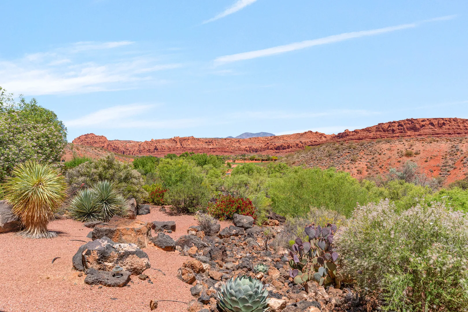 Desert landscape featuring native plantings, red rock formations, and a clear sky