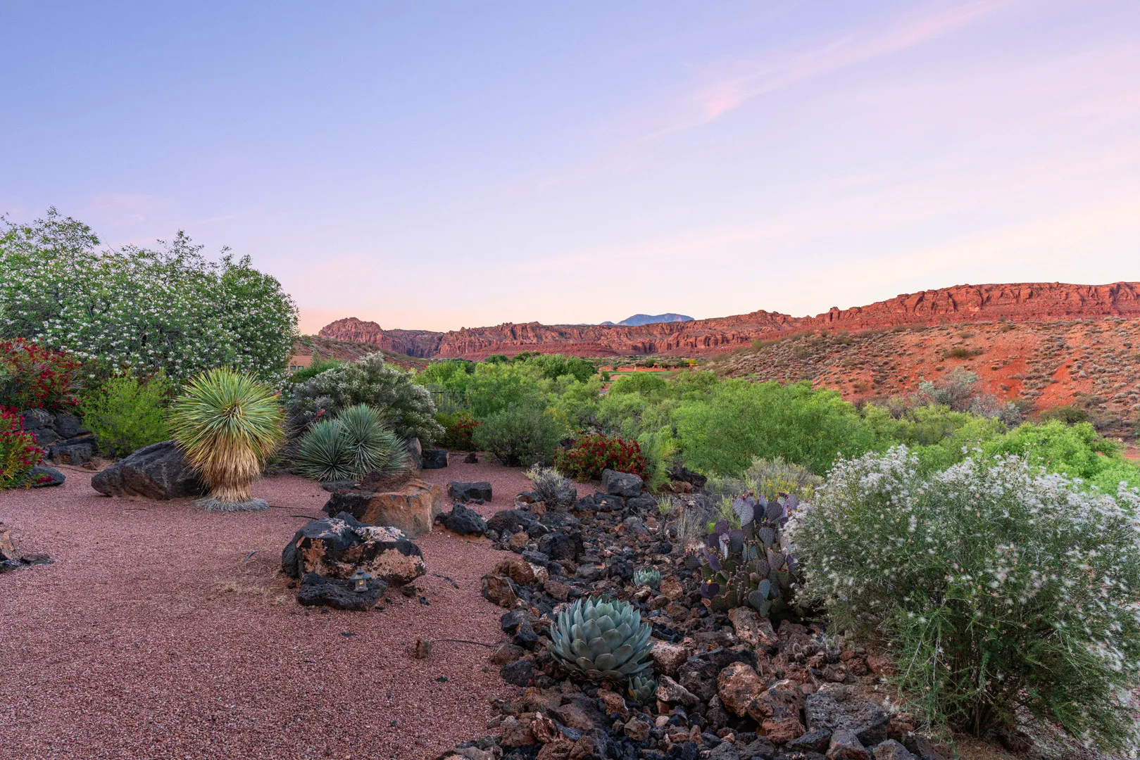 Desert landscape featuring varied plantings, natural rock formations, and a red rock backdrop