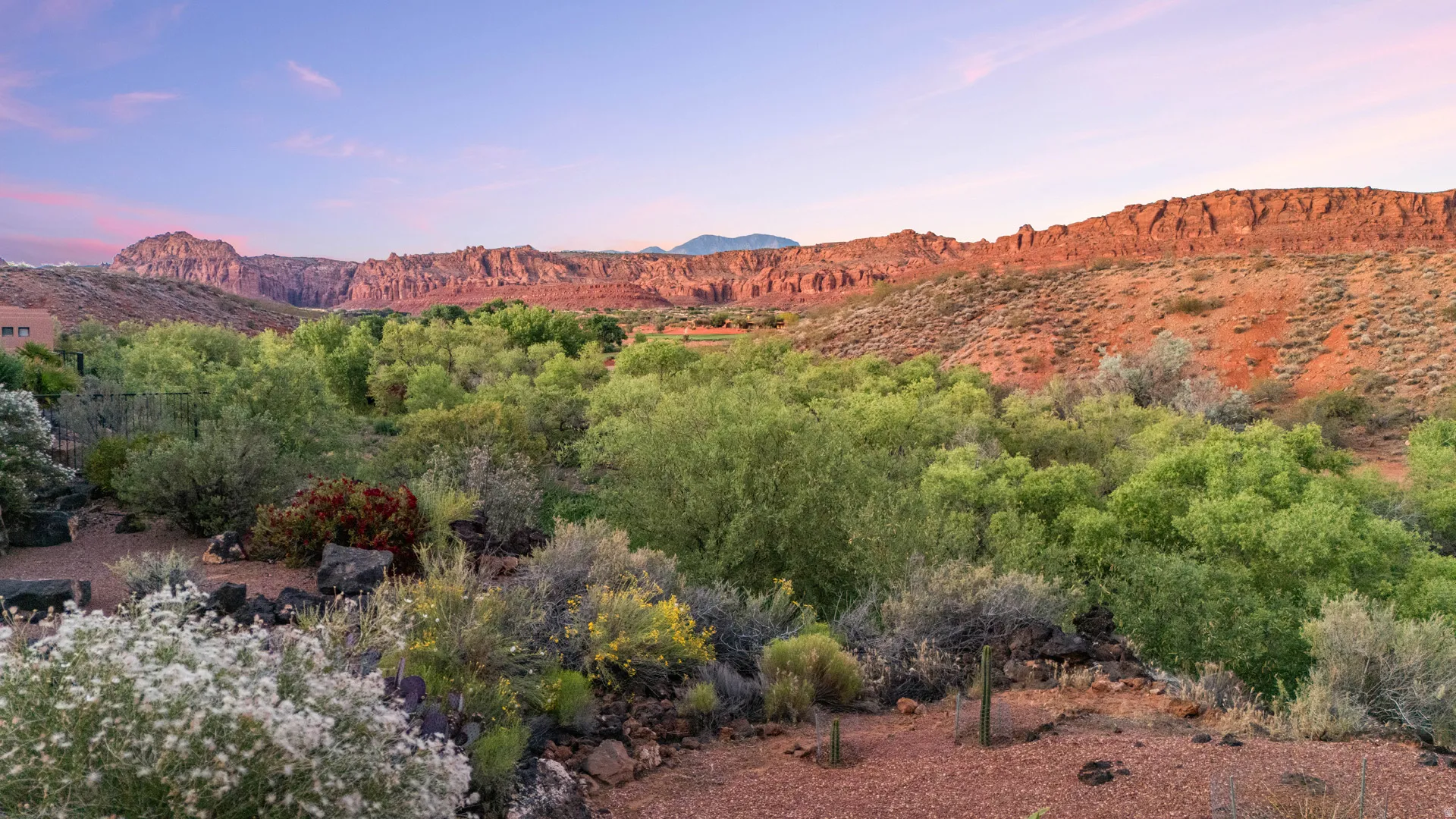 Expansive desert landscape with diverse flora, red rock formations, and distant mountains