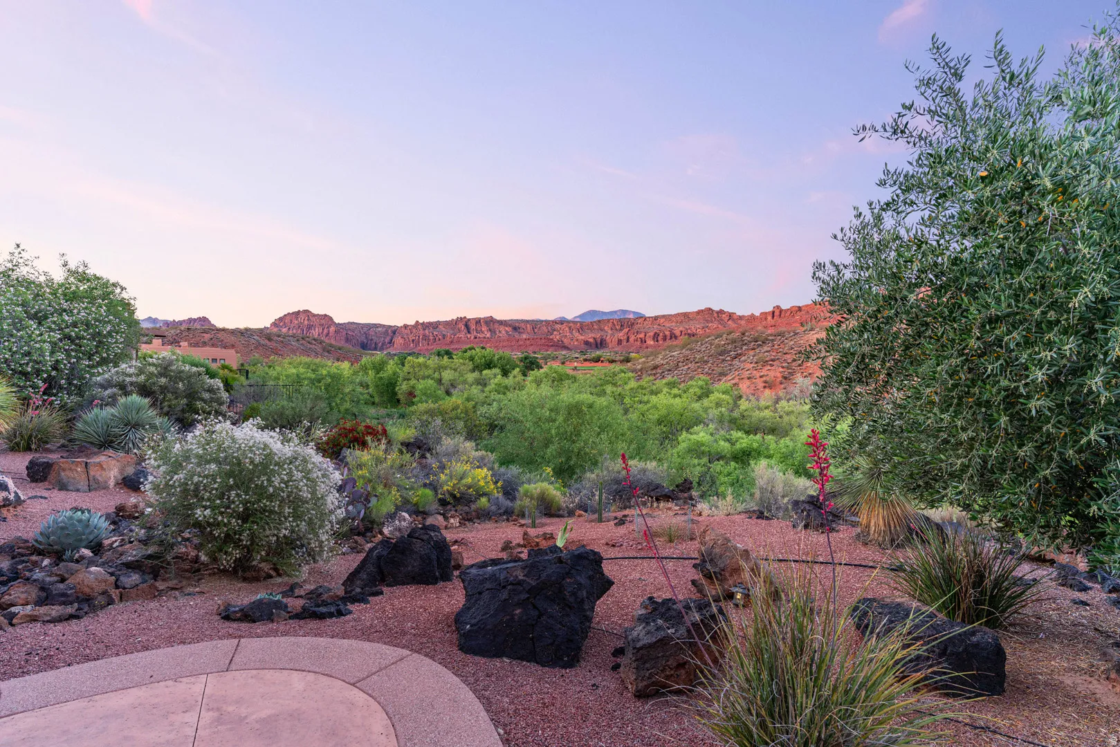 Desert landscaping featuring a variety of native plants, rock accents, and a concrete patio with a stone border