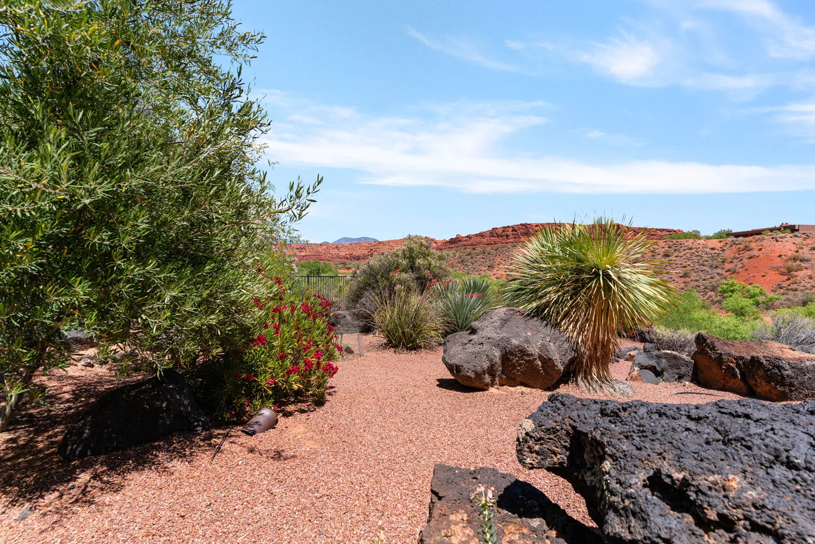Landscaped exterior featuring a large green tree, red flowering shrubs, and desert plantings