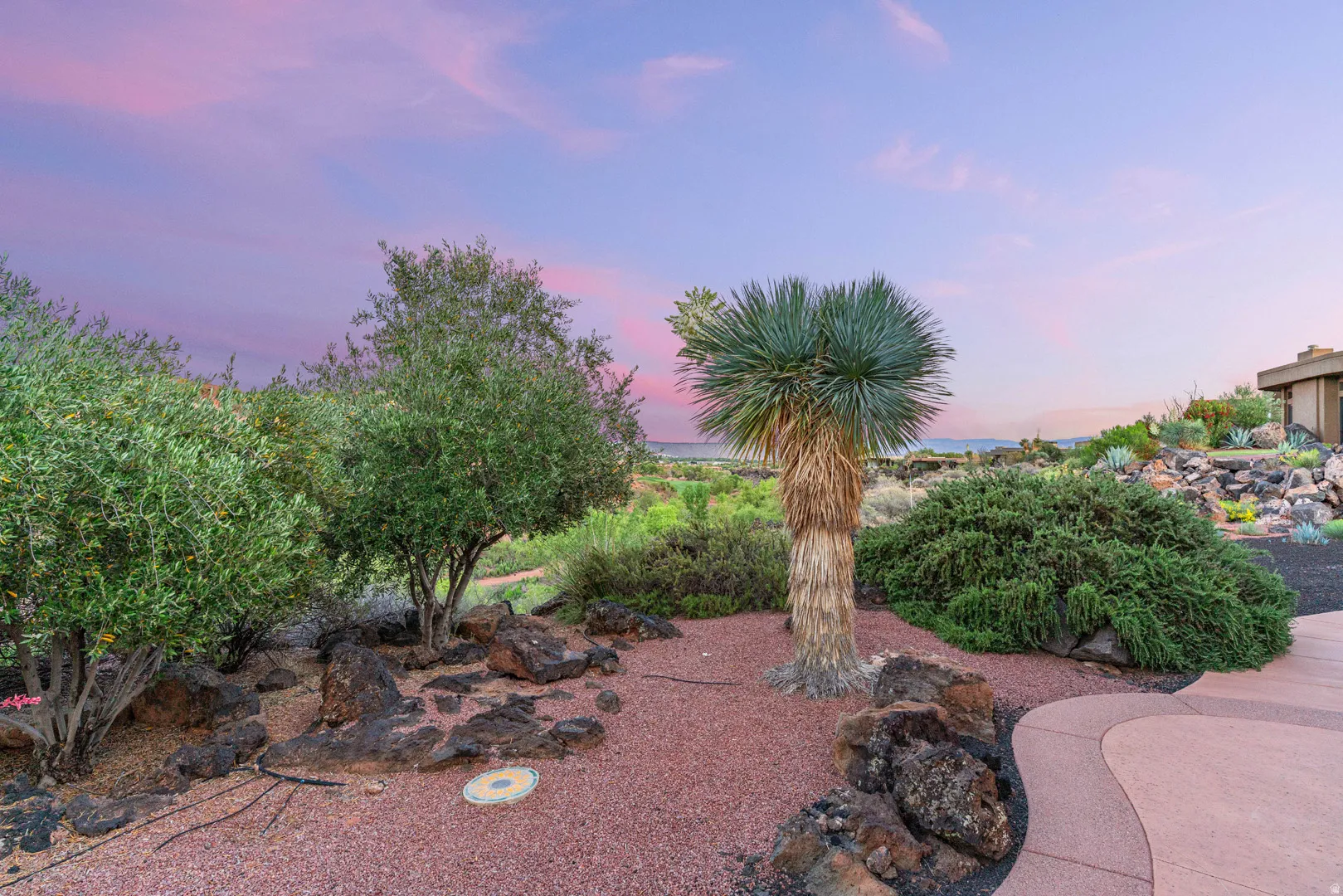 Desert landscaping featuring a variety of mature plants, decorative rocks, and a curved concrete pathway
