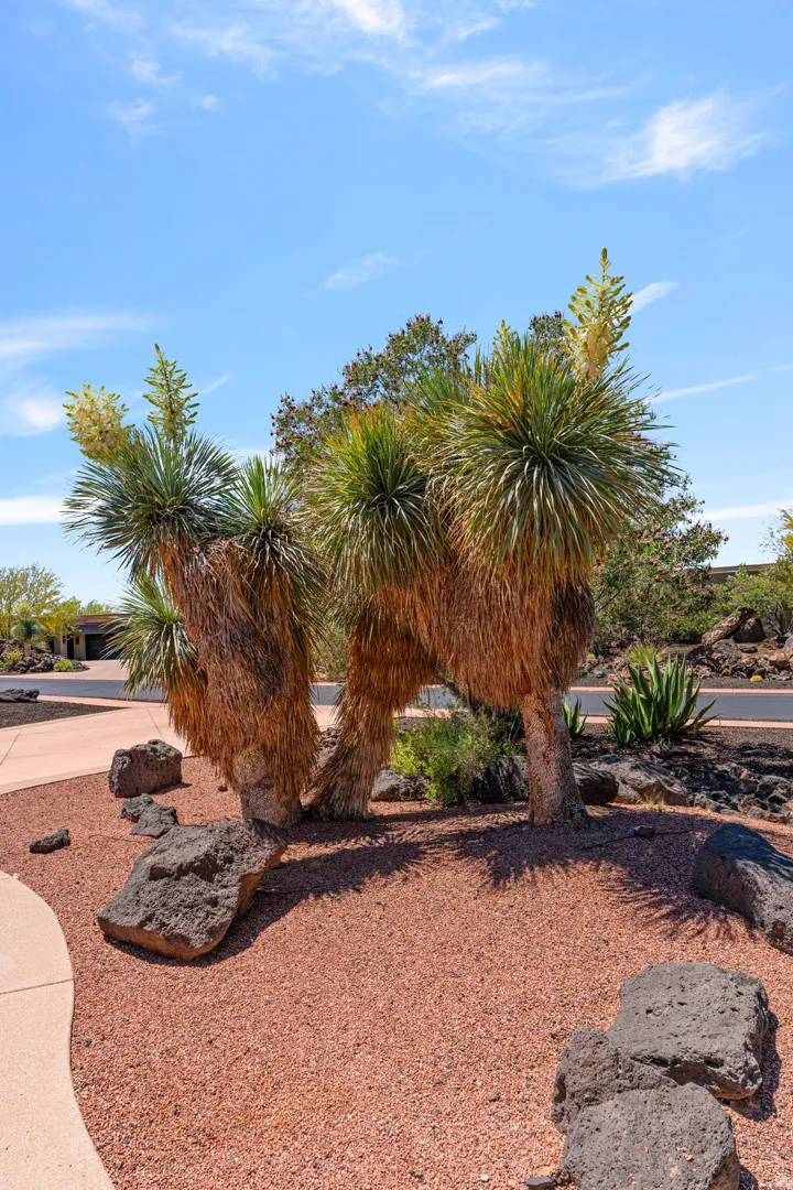 Xeriscape landscaping featuring mature yucca plants, red crushed rock, and natural stone accents