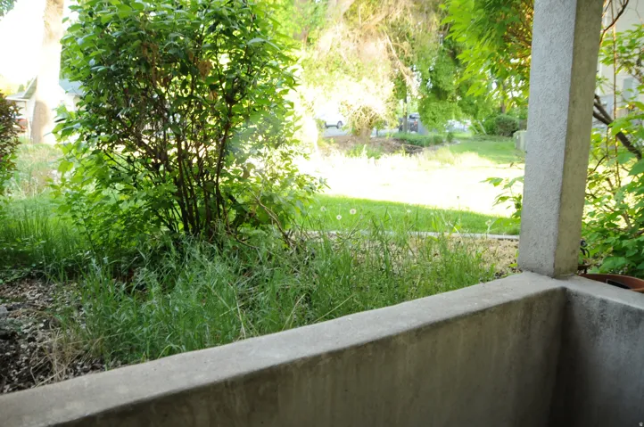 Concrete patio with a solid barrier wall and support column, featuring established perimeter plantings and a grassy yard beyond