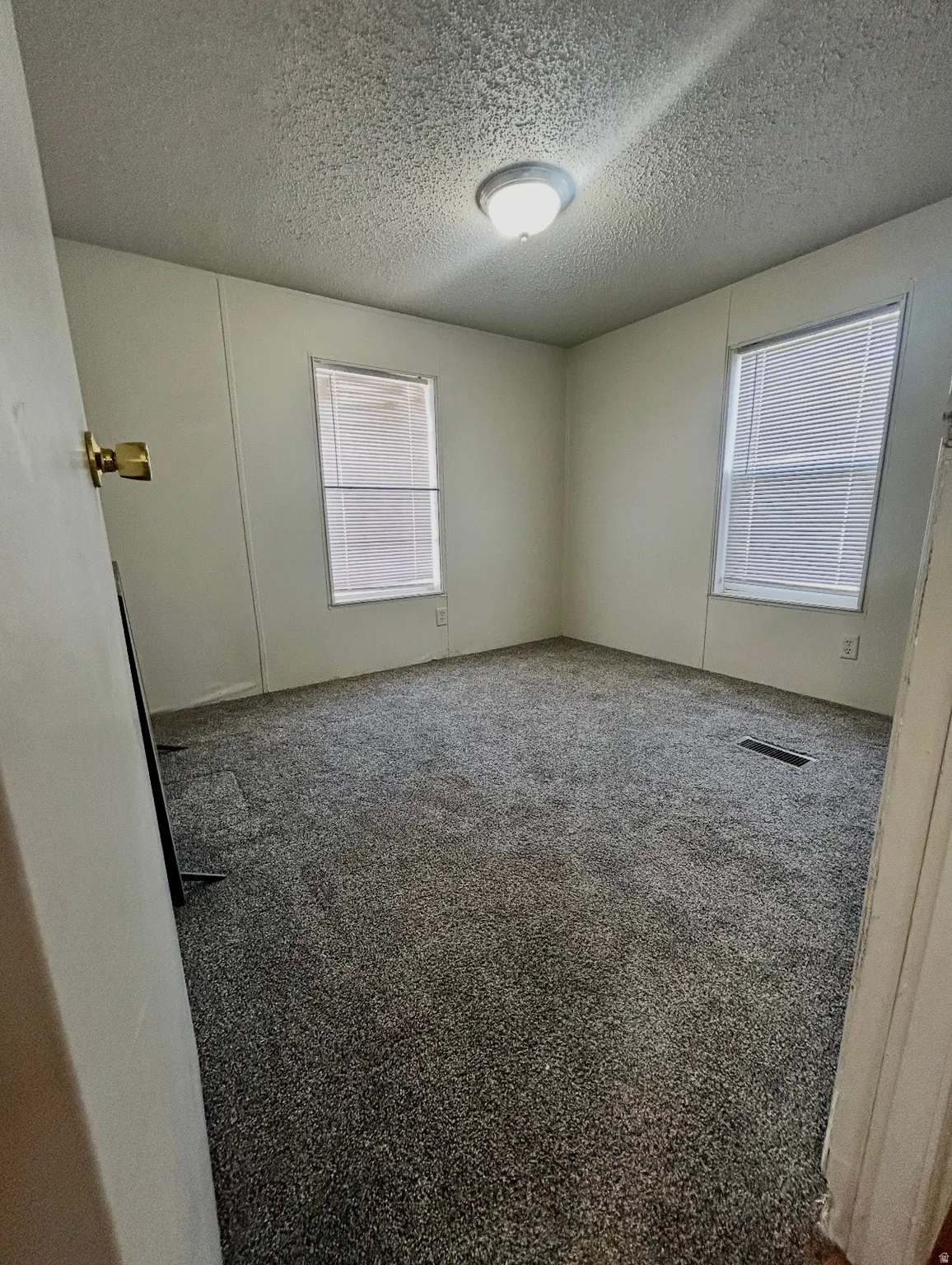 Room featuring speckled gray carpet, white walls, two windows with horizontal blinds, and a ceiling-mounted light fixture