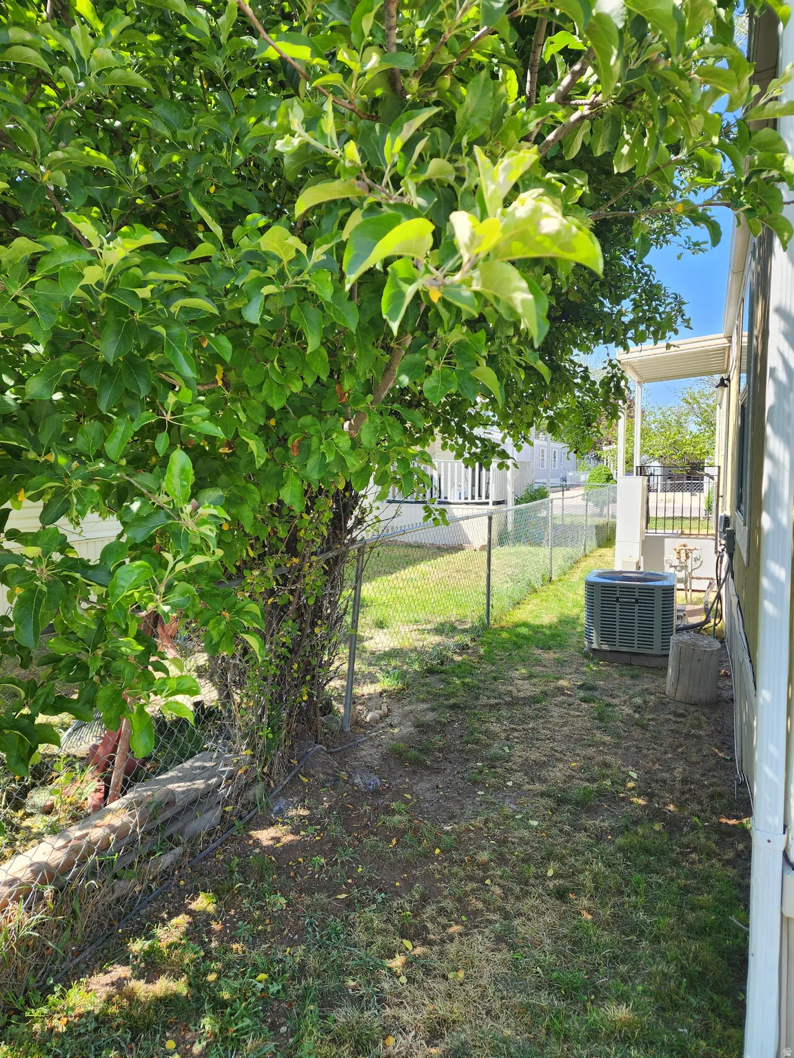 Mature tree with dense foliage, chain link fencing, and a visible exterior HVAC unit