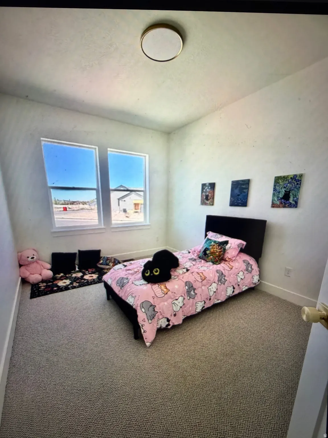 Carpeted room featuring two prominent windows, a ceiling-mounted light fixture, and white baseboards