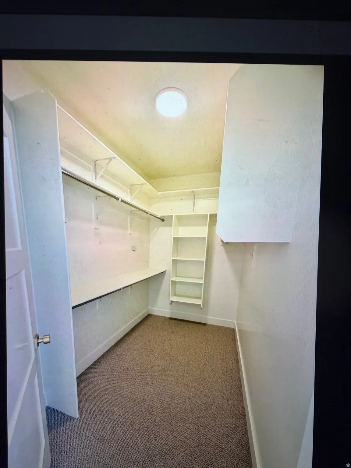 Walk-in closet featuring carpet flooring, built-in shelving, wall-mounted hanging rods, integrated storage, and a ceiling-mounted light fixture