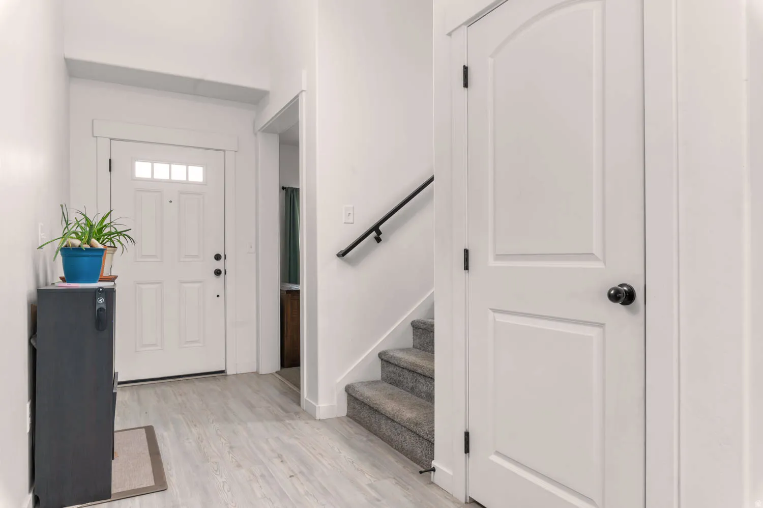Entryway featuring a paneled front door with upper lites, light wood-finish flooring, and a carpeted staircase with a black handrail