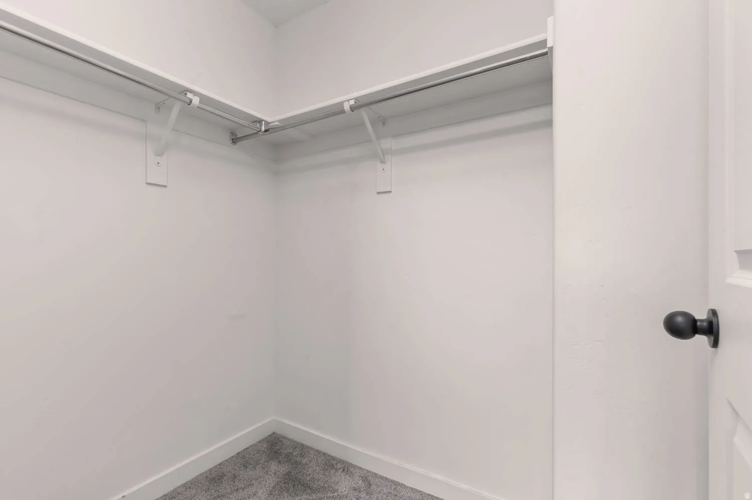 Walk-in closet featuring light gray carpeting, white walls, and a multi-level shelving and hanging rod system