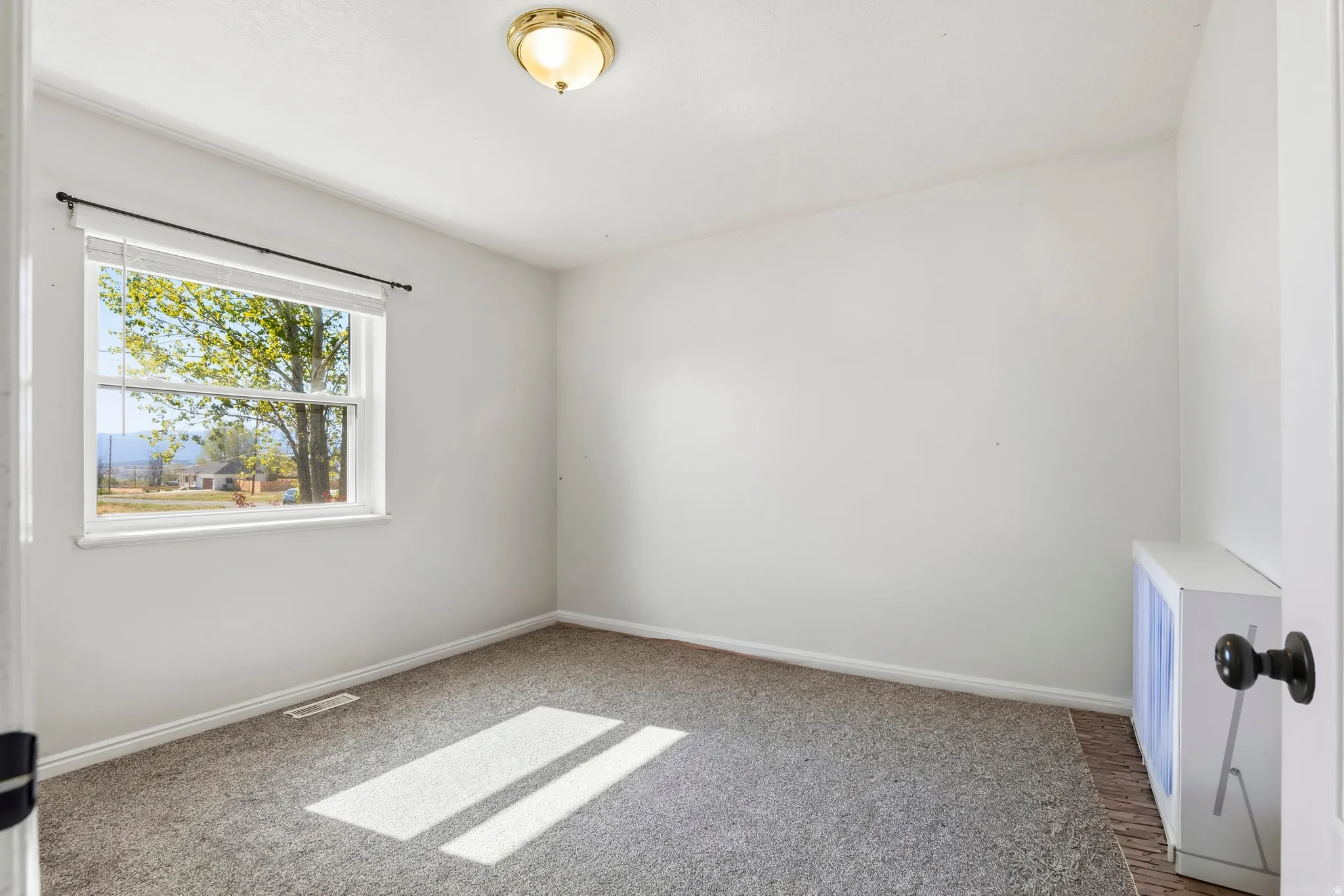 Bright room with a large window, neutral carpet, white walls, white trim, and a ceiling-mounted light fixture