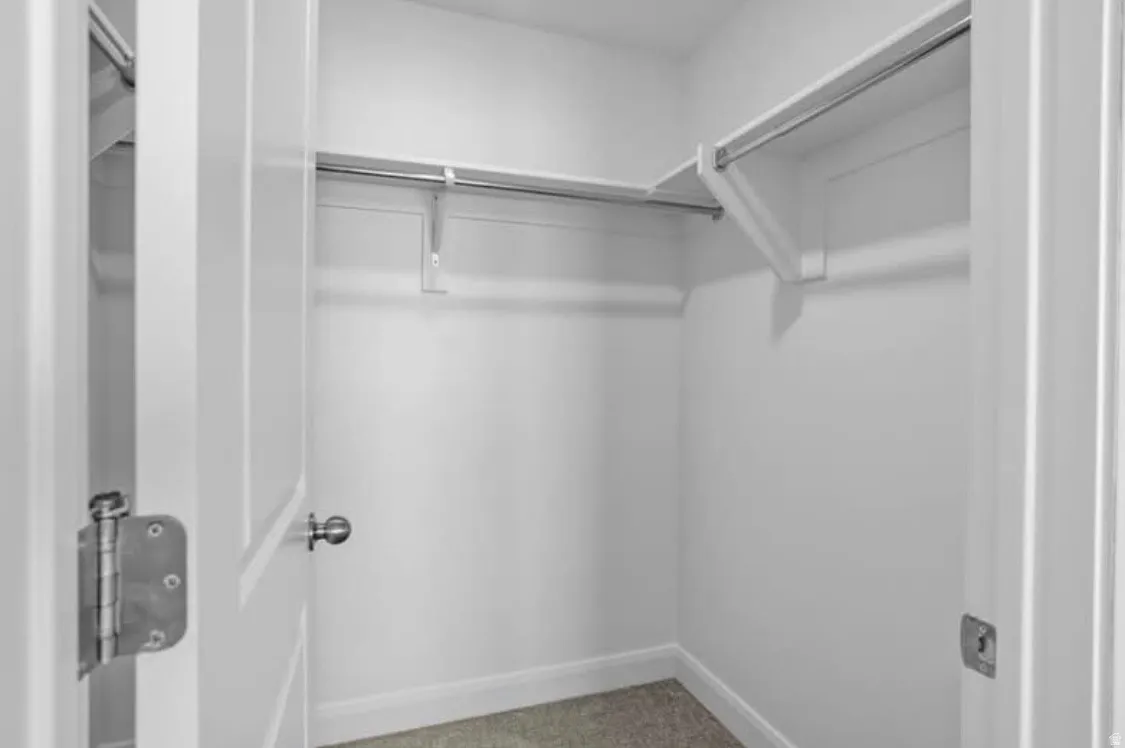 Walk-in closet featuring white painted walls, a light gray carpeted floor, white baseboards, and a single white paneled door with a spherical handle