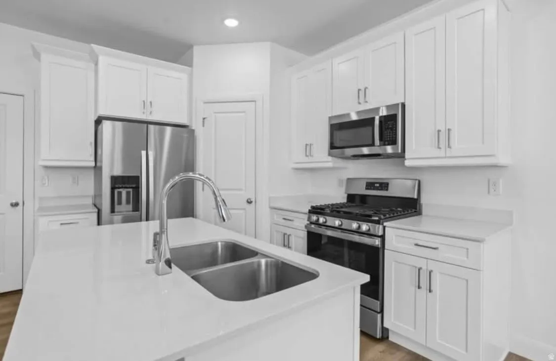 Modern kitchen with light-finish flooring, white cabinetry, stainless steel appliances, a dual basin sink, and a gooseneck faucet
