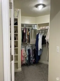 Walk-in closet featuring built-in shelving, dual hanging rods, and a flush-mount ceiling light