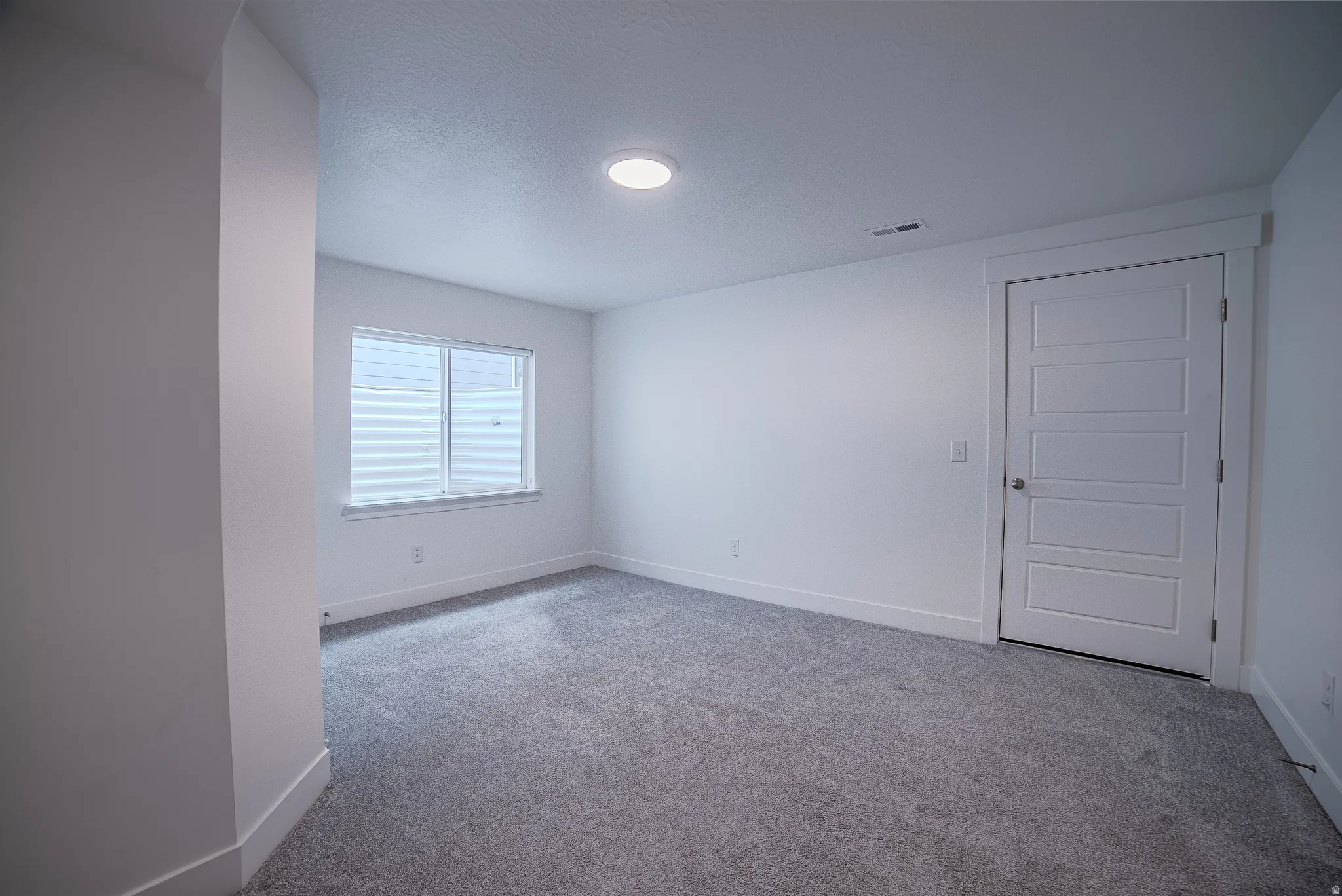 Bright room featuring plush gray carpeting, crisp white walls, and a multi-pane window