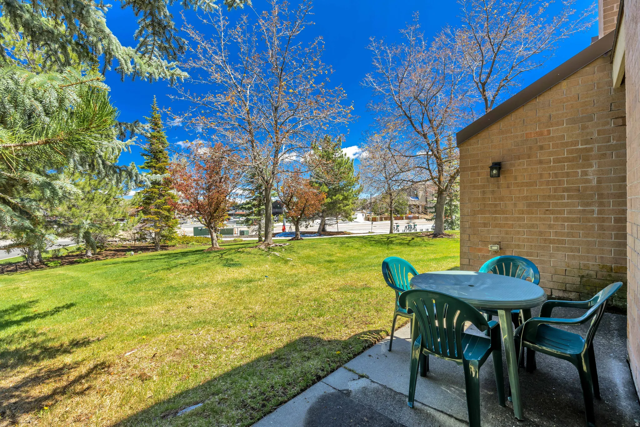 Rear patio area and grassy common space