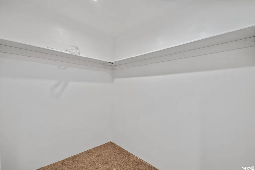 Walk in closet with carpet flooring