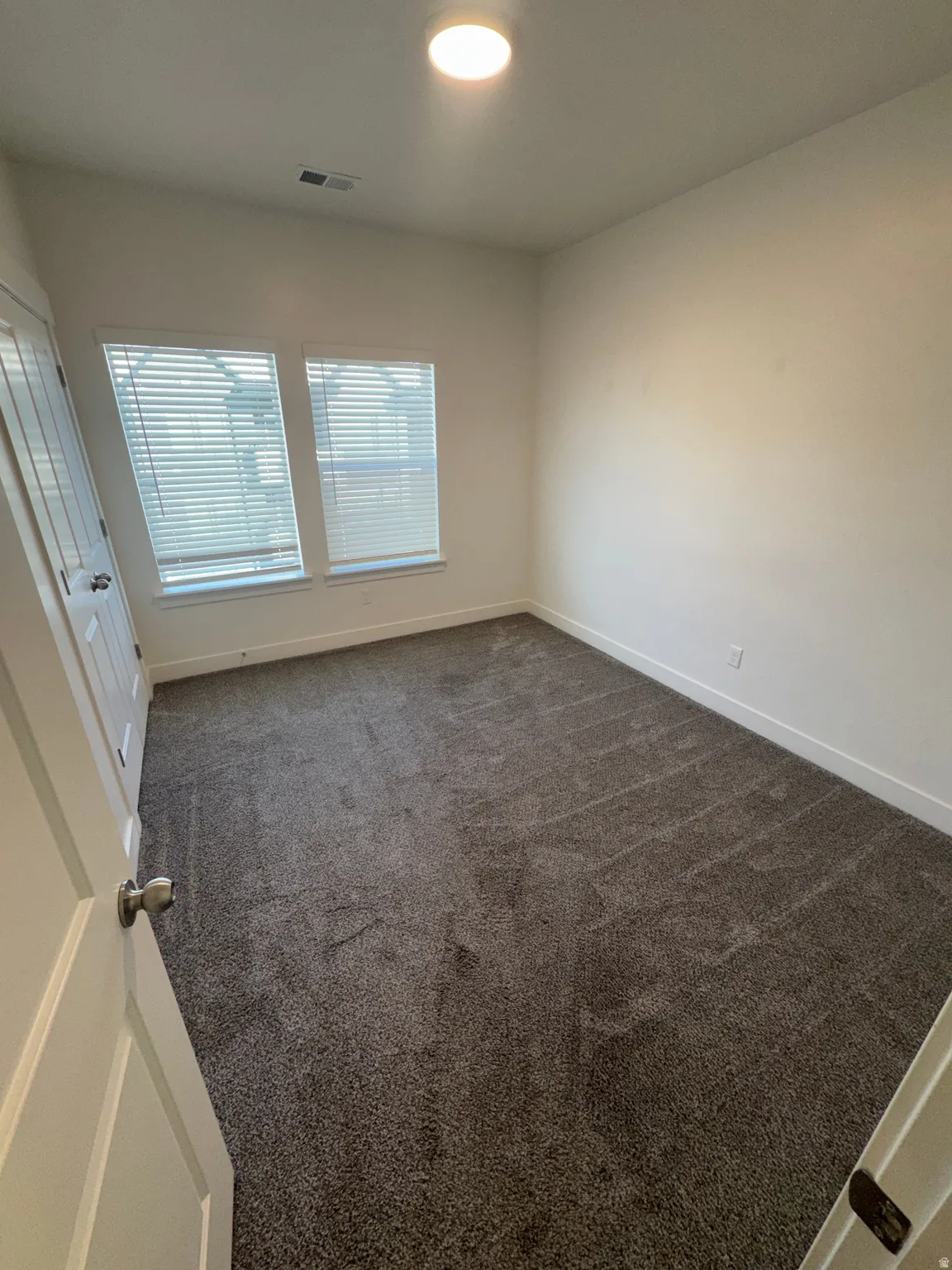 Carpeted room featuring two windows with blinds, white walls, and a ceiling-mounted light fixture