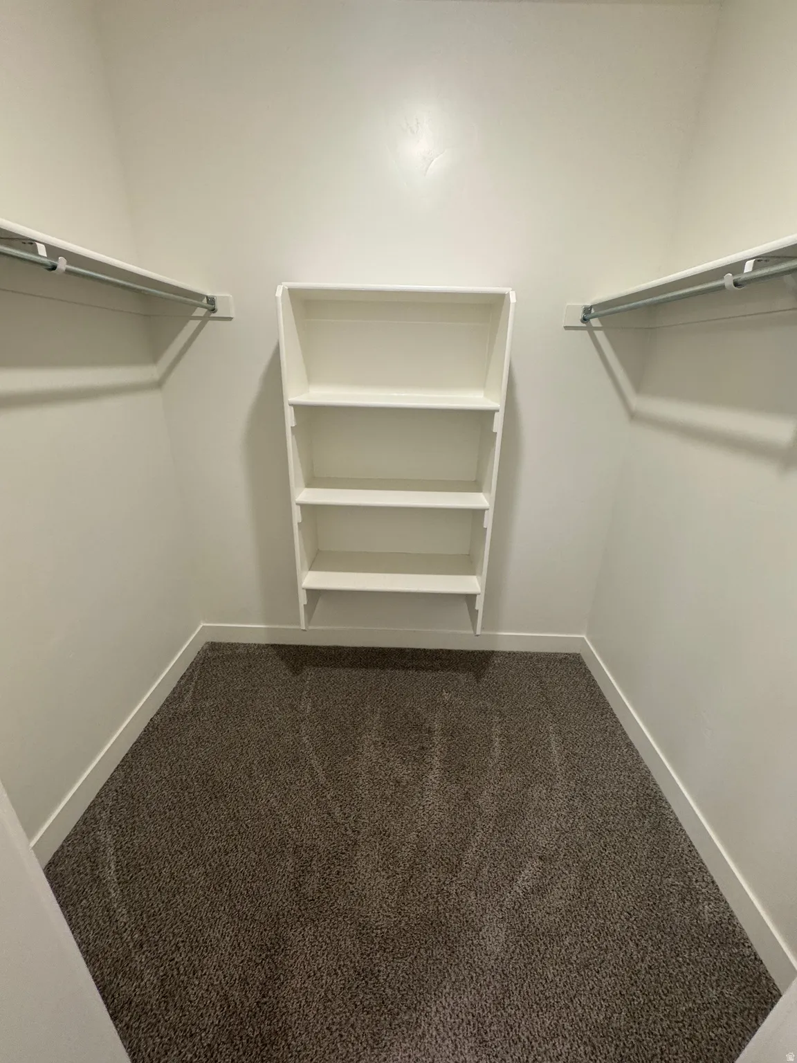 Walk-in closet featuring built-in shelving, dual hanging rods, light-toned walls, and carpet flooring