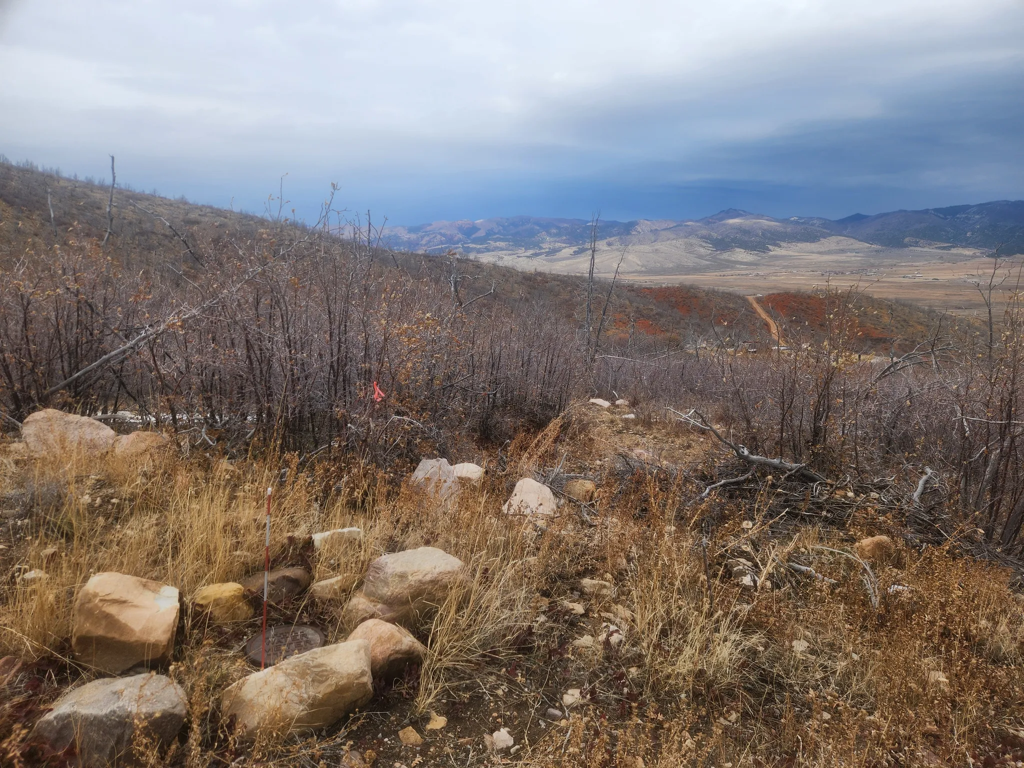 Expansive acreage featuring natural terrain and distant mountains