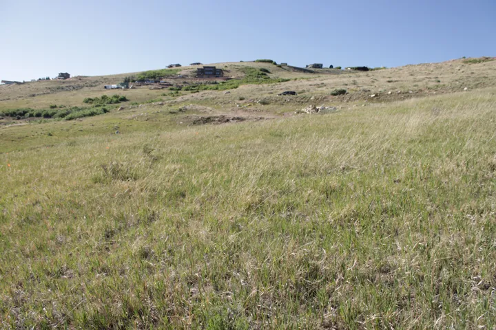 Expansive hillside property featuring natural grass and distant structures