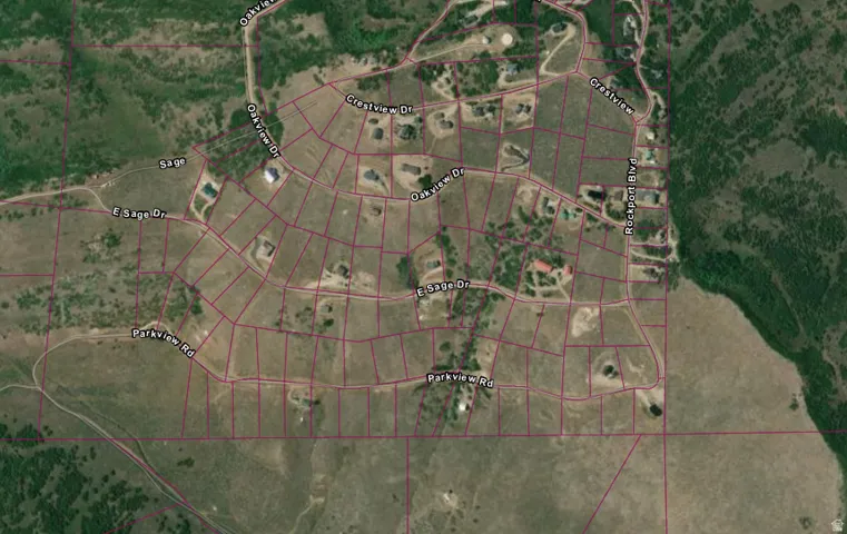 Plat Map. Illustrating lot divisions and street configurations within the property